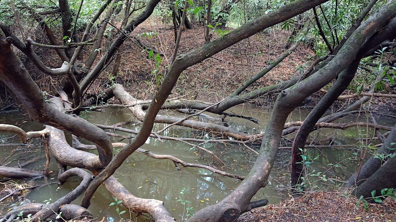 Reservas Naturales